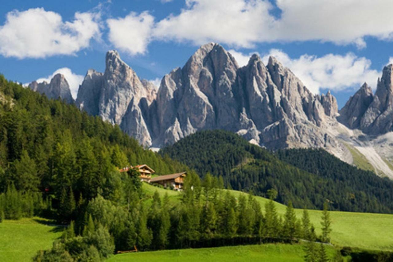 Appartmenthaus Birkenwald Ζέεφελντ Εξωτερικό φωτογραφία