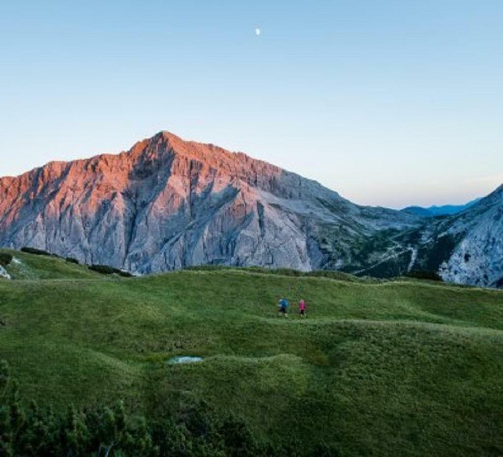 Appartmenthaus Birkenwald Ζέεφελντ Εξωτερικό φωτογραφία