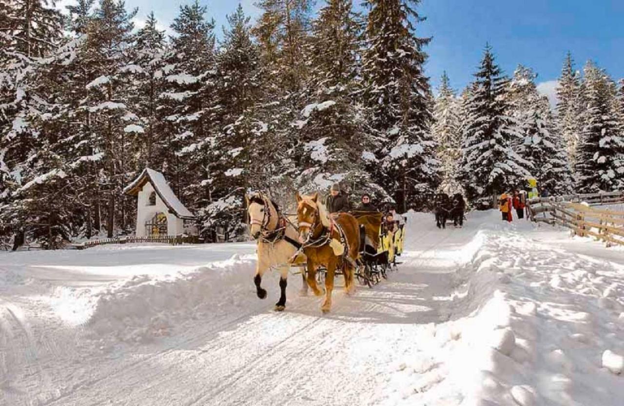 Appartmenthaus Birkenwald Ζέεφελντ Εξωτερικό φωτογραφία