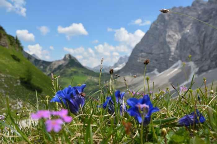 Appartmenthaus Birkenwald Ζέεφελντ Εξωτερικό φωτογραφία
