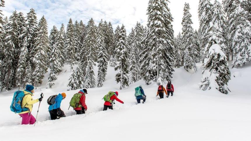 Appartmenthaus Birkenwald Ζέεφελντ Εξωτερικό φωτογραφία